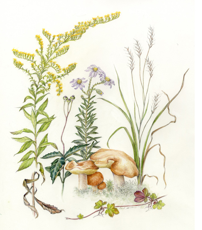 Abandoned Parking Lot